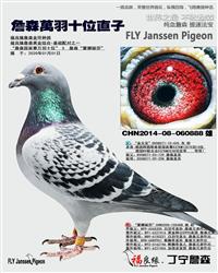 ��ĸ����