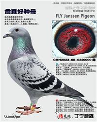 ��ĸ����