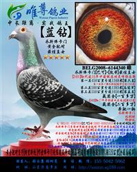 ����ĸ�����꡿