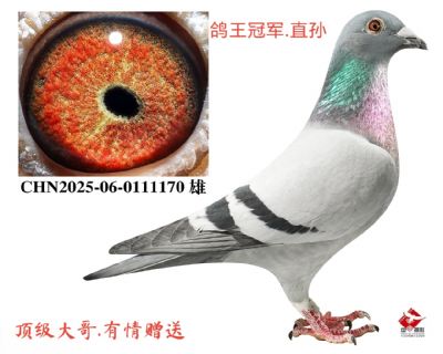 �������ھ���ֱ��