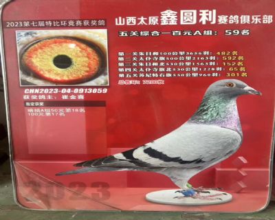 ���P(gu��n)65��