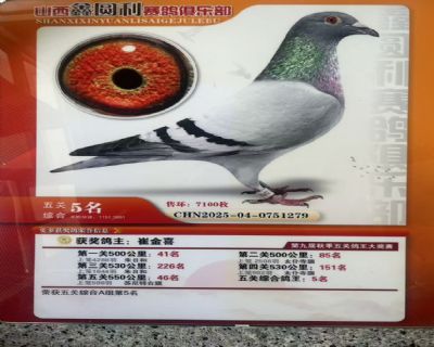 ���P(gu��n)�C��5��