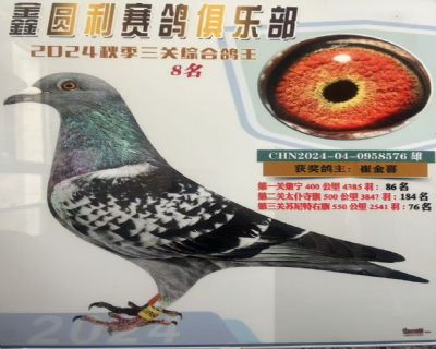 ���P(gu��n)�C������8��