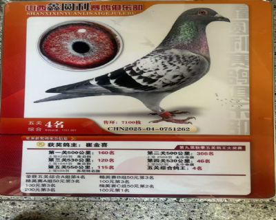 ���P(gu��n)�C��4��