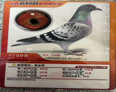 ���P(gu��n)�C��59��