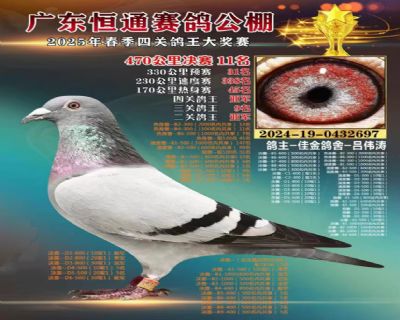 ����11��