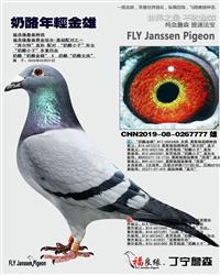 ��ĸ����