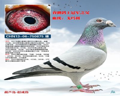 ��һ�S���䌦��