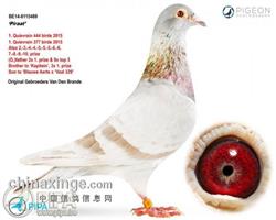 �����游 ���I̖(h��o)