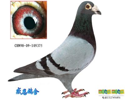 �������ϰ���