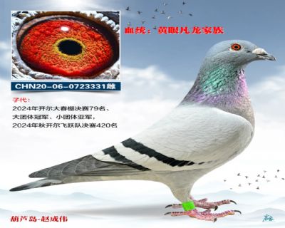 ��������܊ȫƽ݅331