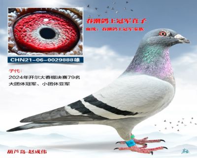 ����������܊ֱ��888