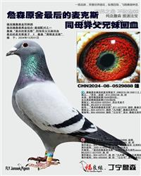 ��ĸ����