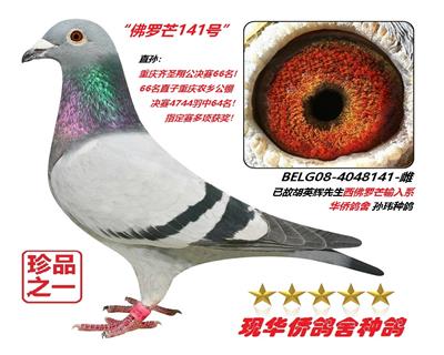 ����ʱ141��