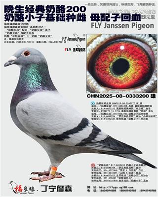 ����С�ӻ����ִ� ĸ���ӻ�Ѫ