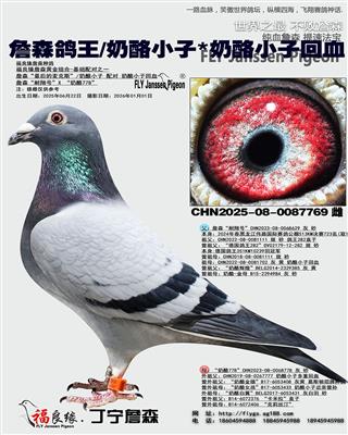 ղɭ����/����С��*����С��