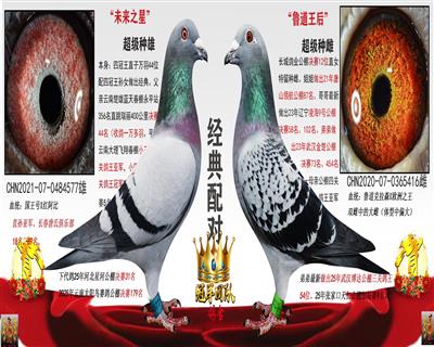 ����δ��֮��X³������