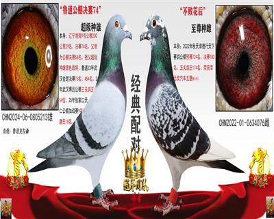 ³��5��X�������½���