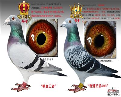 ����5000������10λX˫��020ֱŮ