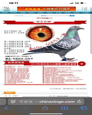 ����9����🚘GL8