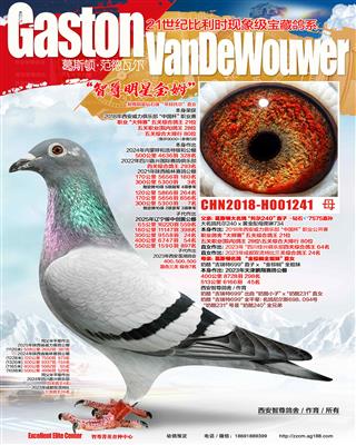 ������������