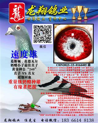 ��������С���۳���