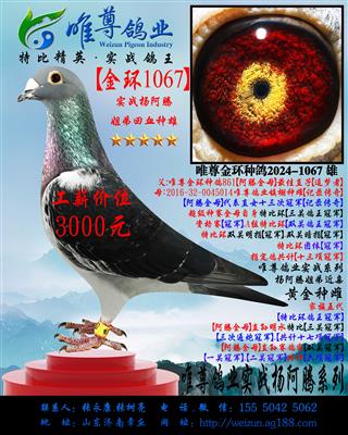 ����1067���