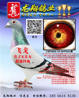 ���w�ꡱ���H�OŮ����