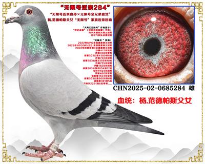 ���Ⱦ�����...