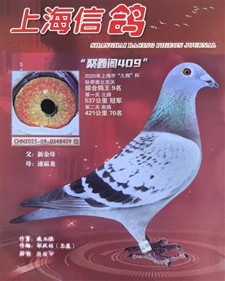 ���½�ķȫ�ֵܡ��OŮ