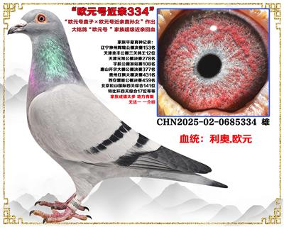 ���ڻ���������.....