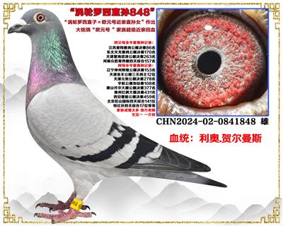 ���ڻ���������.....