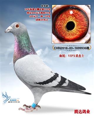 ���ݹ������120��