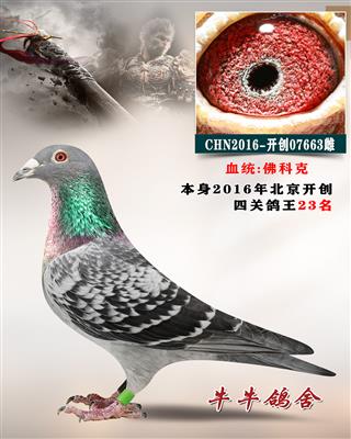 �_��(chu��ng)����23