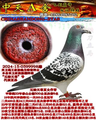 ����9��ƽ��