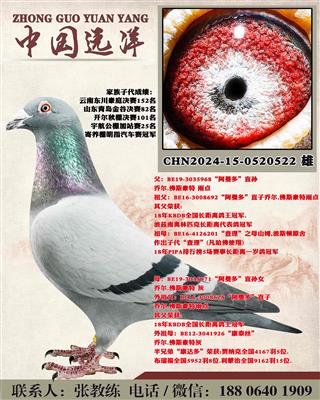 ������ֱ��x������ֱ��Ů