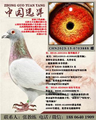 ������ֱ��x�ú��ֱŮ