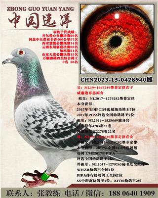 ī�ƶ���ֱ��xī�ƶ���ֱŮ