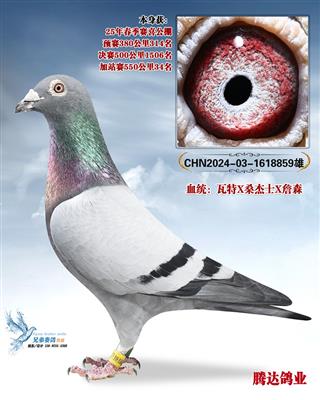 �����ݹ����Ĺظ����ھ�������859