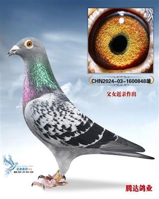 �������Ĺظ���������ֱ��848