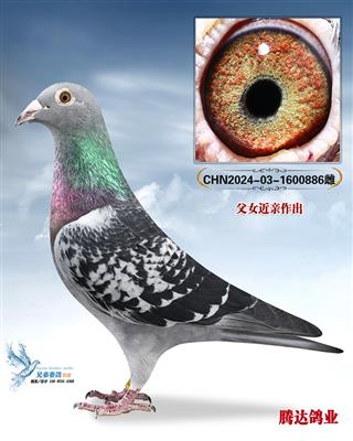 �������Ĺظ���������ֱŮ886