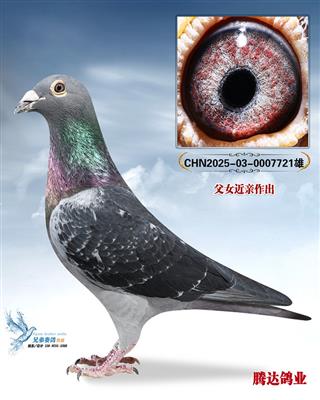 �����ݹ����Ĺظ���������ֱ��721