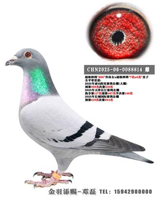 2025�����⹫�����216��ȫƽ��