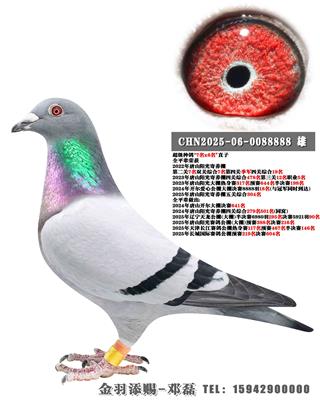 2024�꿪���������18��ȫƽ��