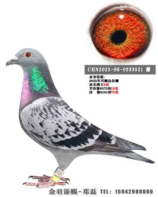 2025����˳�﹫��˫�ظ���8��