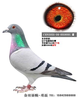 2025����θ���������Ǿ�