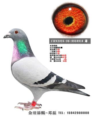 2025����θ������Ĺظ���7��