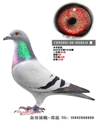 2025��VIP�������ظ���5��