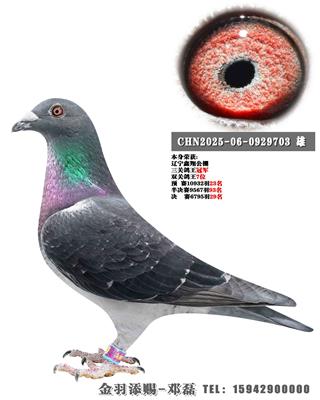 2025�����蹫�����ظ����ھ�