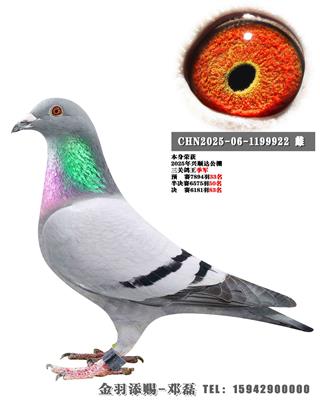 2025����˳�﹫�����ظ�������